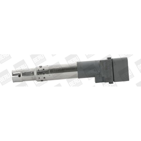 BorgWarner (BERU) ZSE044 Zündspule