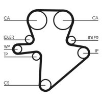 CONTINENTAL CTAM CT1123 Zahnriemen