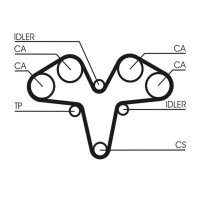 CONTINENTAL CTAM CT1119 Zahnriemen
