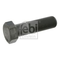FEBI BILSTEIN 17230 Riemenscheibenschraube