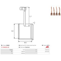 AS-PL SB6005 Kohlebürste, Starter