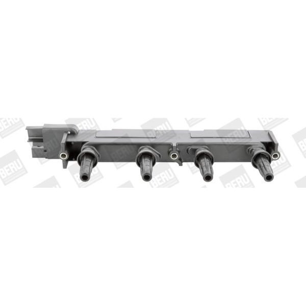 BorgWarner (BERU) ZS348 Zündspule