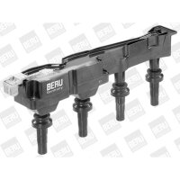 BorgWarner (BERU) ZSE045 Zündspule