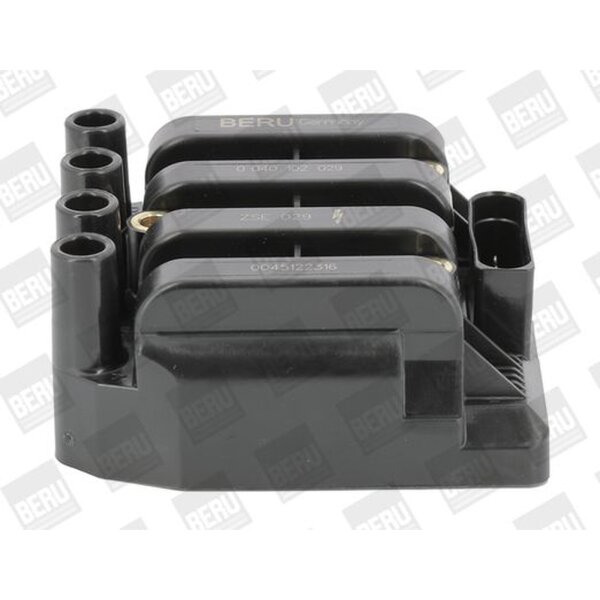 BorgWarner (BERU) ZSE029 Zündspule
