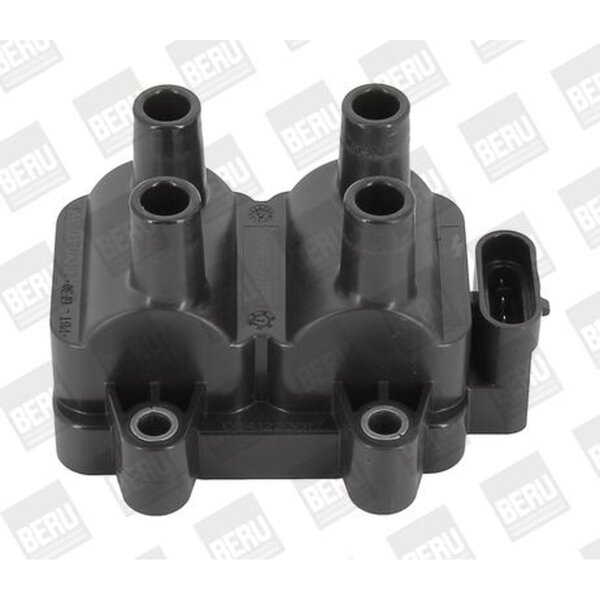 BorgWarner (BERU) ZS354 Zündspule