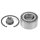SNR R155.87 Radlagersatz