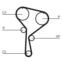 CONTINENTAL CTAM CT1035WP1 Wasserpumpe + Zahnriemensatz