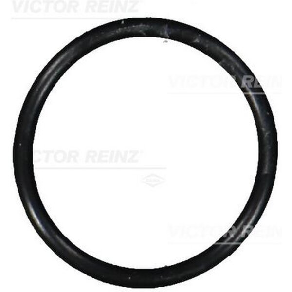 VICTOR REINZ 40-76101-00 Dichtring