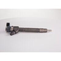 Einspritzdüse BOSCH 0 445 110 189 - 1 Stück