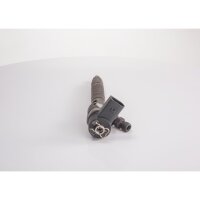 Einspritzdüse BOSCH 0 445 110 189 - 1 Stück