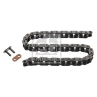 FEBI BILSTEIN 25213 Kette, Ölpumpenantrieb