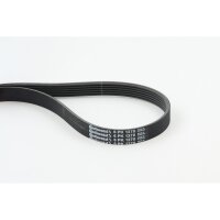 CONTINENTAL CTAM 6PK1370 Keilrippenriemen