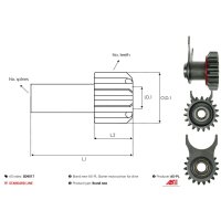 AS-PL SD9017 Freilaufgetriebe, Starter