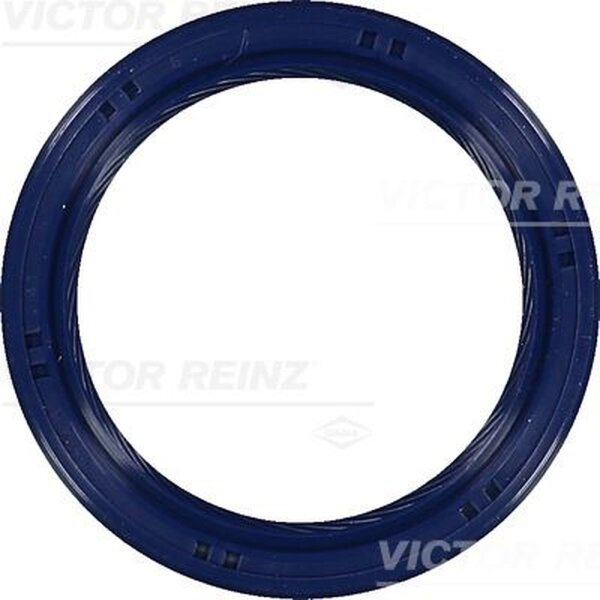 VICTOR REINZ 81-53699-00 Wellendichtring, Kurbelwelle