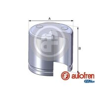 AUTOFREN SEINSA D02551 Kolben, Bremssattel