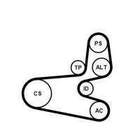 CONTINENTAL CTAM 6PK1560K1 Keilrippenriemensatz