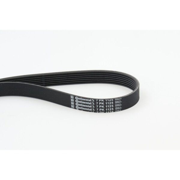 CONTINENTAL CTAM 7PK1125 Keilrippenriemen