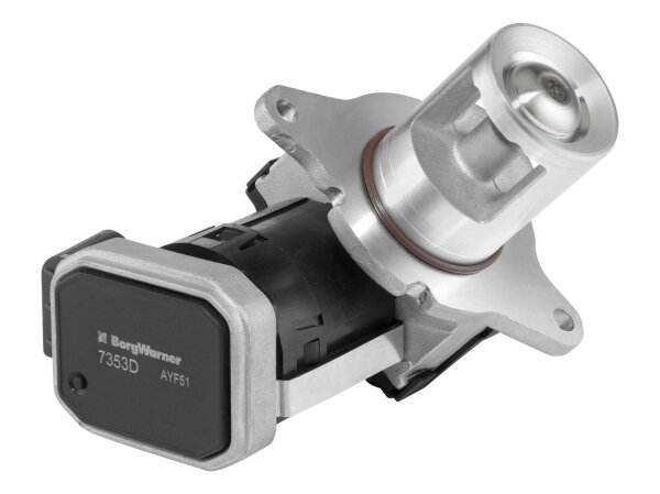BorgWarner 7353D AGR-Ventil