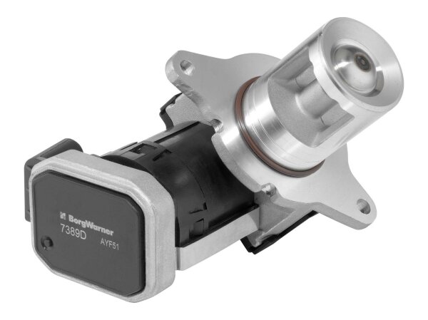 BorgWarner 7389D AGR-Ventil