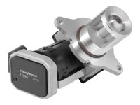 BorgWarner 7389D AGR-Ventil
