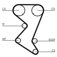 CONTINENTAL CTAM CT1110 Zahnriemen