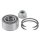SNR R153.55 Radlagersatz