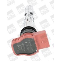 BorgWarner (BERU) ZSE051 Zündspule