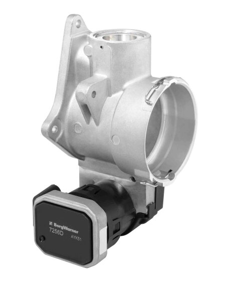 BorgWarner 7256D AGR-Ventil