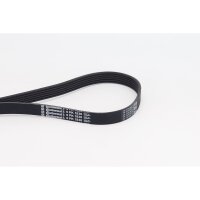 CONTINENTAL CTAM 6PK1836 Keilrippenriemen