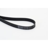 CONTINENTAL CTAM 6PK1893 Keilrippenriemen