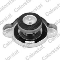CALORSTAT by Vernet RC0050 Verschlussdeckel, Kühler