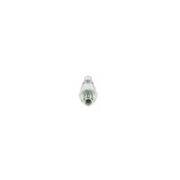 Einspritzventil BOSCH 0 437 004 002 Benzineinspritzung - 1 Stück