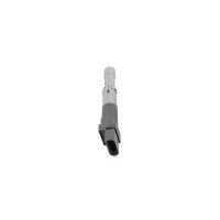 BorgWarner (BERU) ZSE063 Zündspule