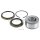 SNR R141.20 Radlagersatz