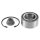 SNR R174.61 Radlagersatz