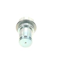 BOSCH 0 438 170 024 Druckspeicher, Kraftstoffdruck