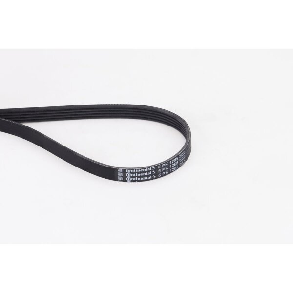 CONTINENTAL CTAM 5PK1255 Keilrippenriemen
