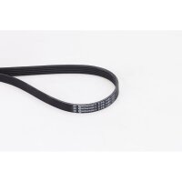 CONTINENTAL CTAM 5PK1255 Keilrippenriemen