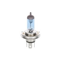 BOSCH 1 987 301 010 Glühlampe, Fernscheinwerfer