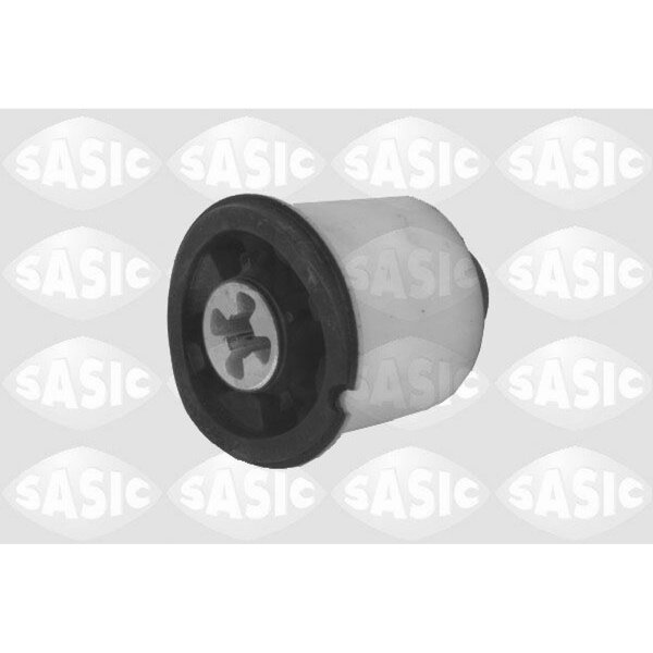 SASIC 2604002 Lagerung, Achskörper