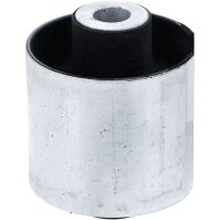 LEMFÖRDER 34933 01 Lagerung, Lenker