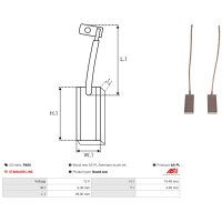 AS-PL PX60 Kohlebürste, Generator
