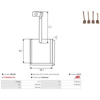 AS-PL BSX196 Kohlebürste, Starter