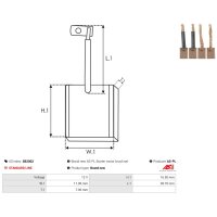 AS-PL SB2002 Kohlebürste, Starter