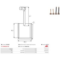AS-PL PSX158 Kohlebürste, Starter