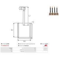 AS-PL LASX36 Kohlebürste, Starter