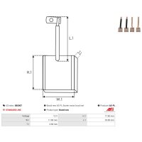 AS-PL SB5007 Kohlebürste, Starter