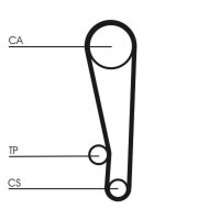 CONTINENTAL CTAM CT1013K1 Zahnriemensatz
