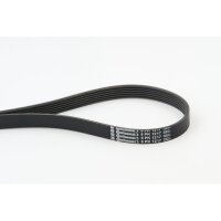 CONTINENTAL CTAM 6PK1217 Keilrippenriemen