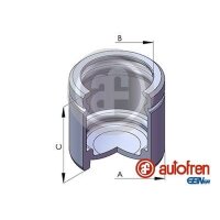 AUTOFREN SEINSA D025107 Kolben, Bremssattel
